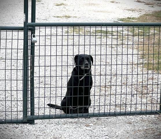 3769 VAN DE VILLE DR, Fulton, MO 65251