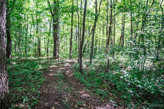 6449 Lawson Road, Chautauqua, NY 14757