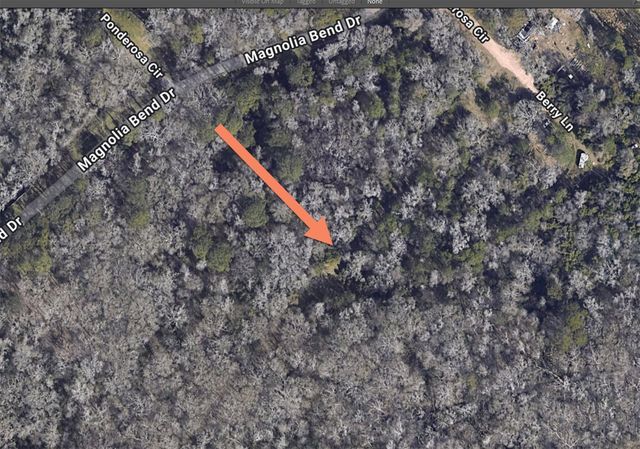 0 Berry Ln, Conroe, TX 77302