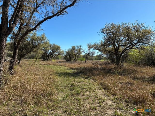 130 Old Goliad Road, Refugio, TX 78377