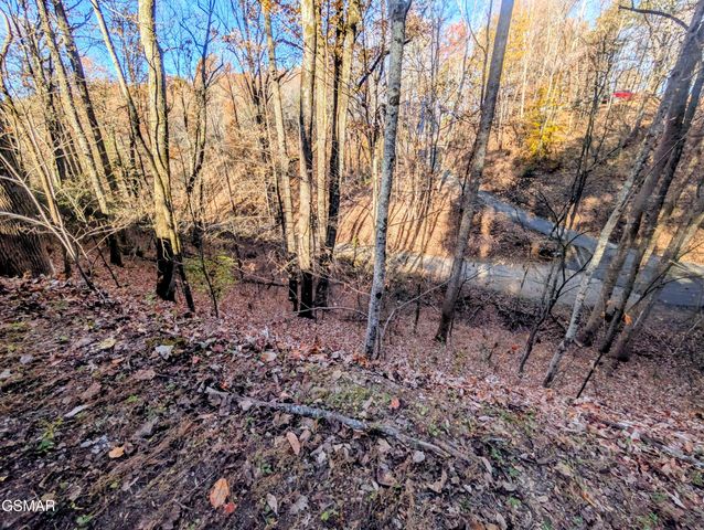 Lot 194A Ski View Lane, Sevierville, TN 37876