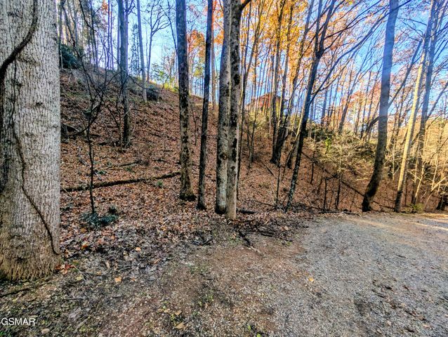 Lot 194A Ski View Lane, Sevierville, TN 37876