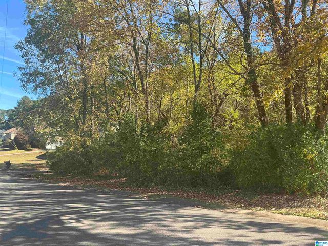 1704 CREELY DRIVE, Birmingham, AL 35235