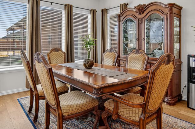 157 Misty Mountain Lane, Rhome, TX 76078