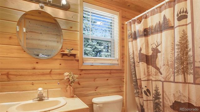 155 Squilchuck Trail, Woodland Park, CO 80863