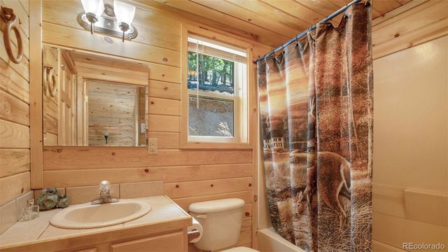 155 Squilchuck Trail, Woodland Park, CO 80863