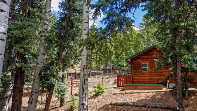 155 Squilchuck Trail, Woodland Park, CO 80863