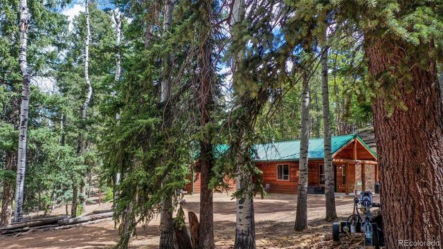 155 Squilchuck Trail, Woodland Park, CO 80863