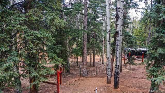 155 Squilchuck Trail, Woodland Park, CO 80863