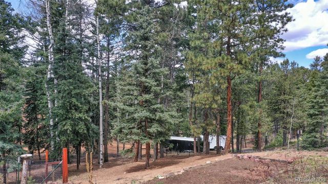 155 Squilchuck Trail, Woodland Park, CO 80863