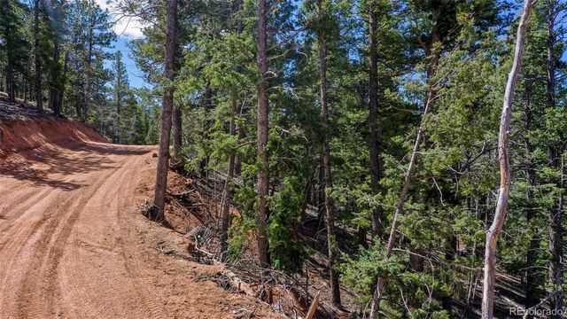 155 Squilchuck Trail, Woodland Park, CO 80863