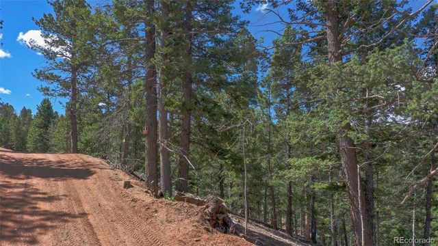 155 Squilchuck Trail, Woodland Park, CO 80863