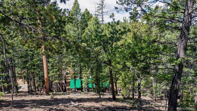 155 Squilchuck Trail, Woodland Park, CO 80863