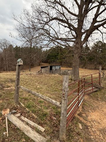 20245 Friendship Drive, Raymondville, MO 65555