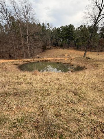 20245 Friendship Drive, Raymondville, MO 65555