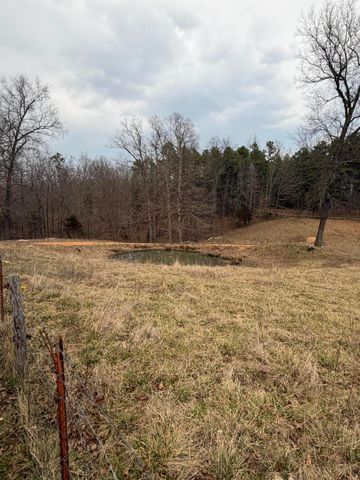 20245 Friendship Drive, Raymondville, MO 65555