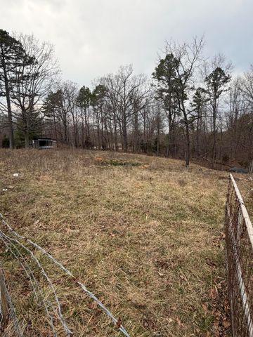 20245 Friendship Drive, Raymondville, MO 65555