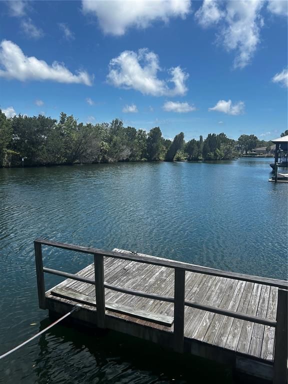 Image 16 of property listing at 11 SE KINGS BAY DRIVE, Crystal River, FL 34429