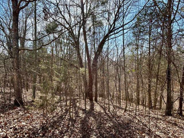 1019 Bridge Hollow Road, Somerset, KY 42503