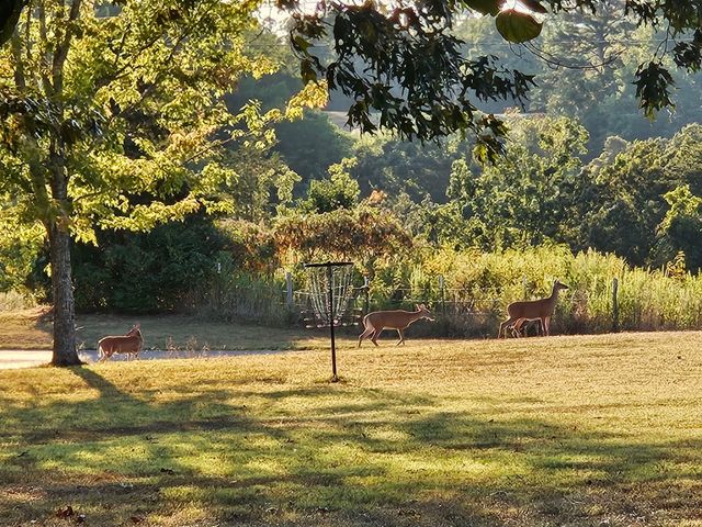 1019 Bridge Hollow Road, Somerset, KY 42503