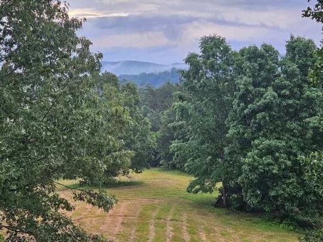 1019 Bridge Hollow Road, Somerset, KY 42503