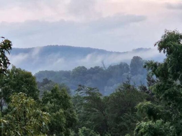1019 Bridge Hollow Road, Somerset, KY 42503