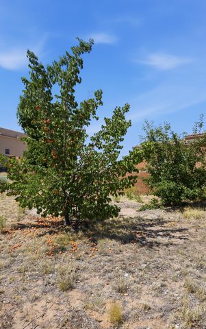 6405 Picardia Place NW, Albuquerque, NM 87120