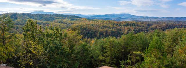 1433 Twin Rock Drive, Sevierville, TN 37862