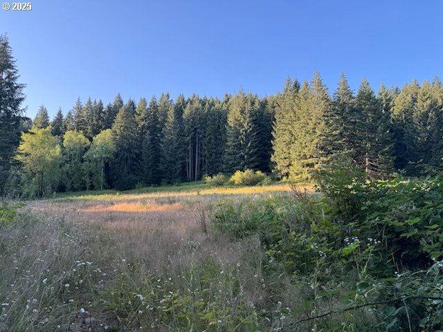 19331 Se HEUKE Rd, Damascus, OR 97089