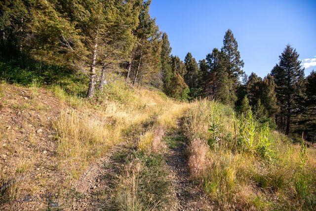 576 Wisconsin Creek Road, Sheridan, MT 59749