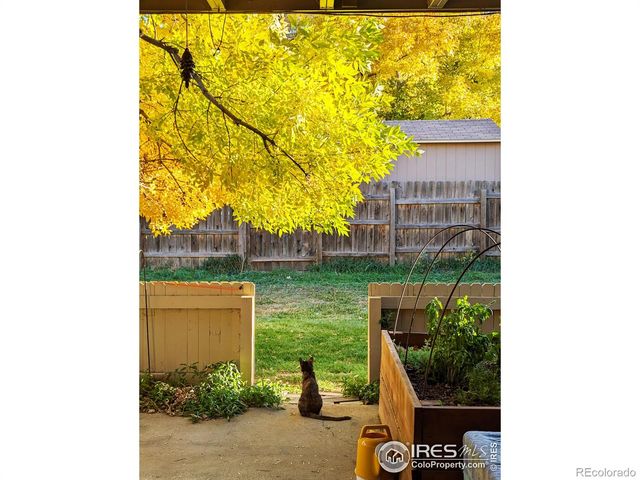 1150 Bacchus Drive A, Lafayette, CO 80026