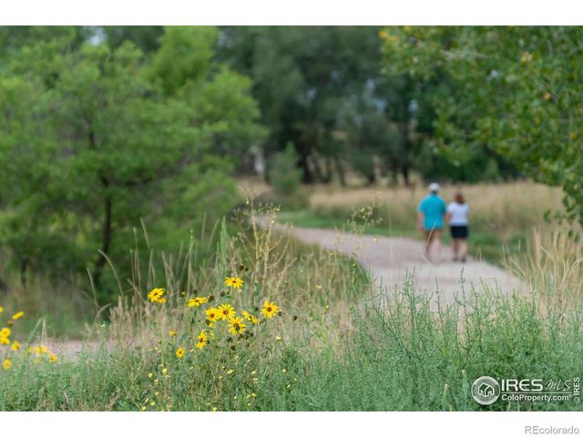 1150 Bacchus Drive A, Lafayette, CO 80026