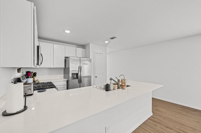 17238 Black Ash Court, New Caney, TX 77357