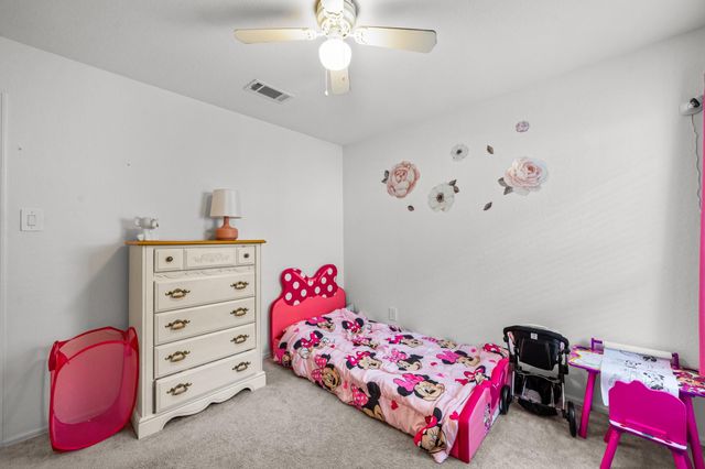 17238 Black Ash Court, New Caney, TX 77357