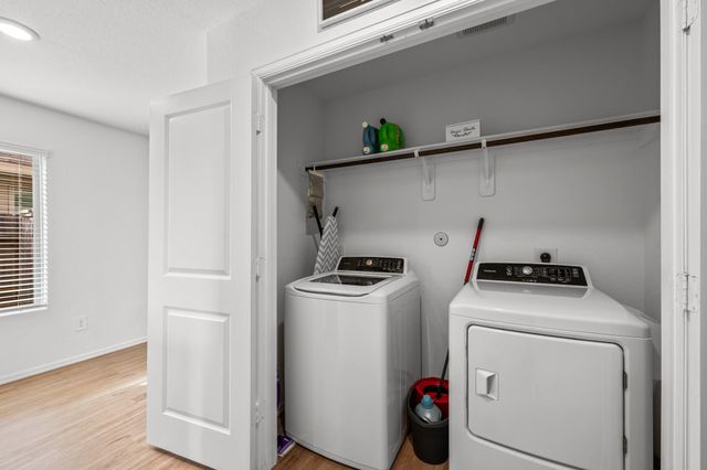 17238 Black Ash Court, New Caney, TX 77357