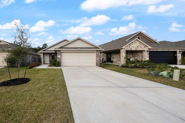 17238 Black Ash Court, New Caney, TX 77357