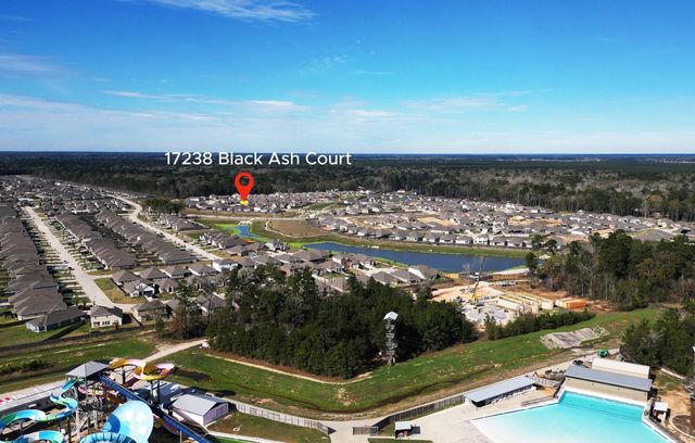 17238 Black Ash Court, New Caney, TX 77357