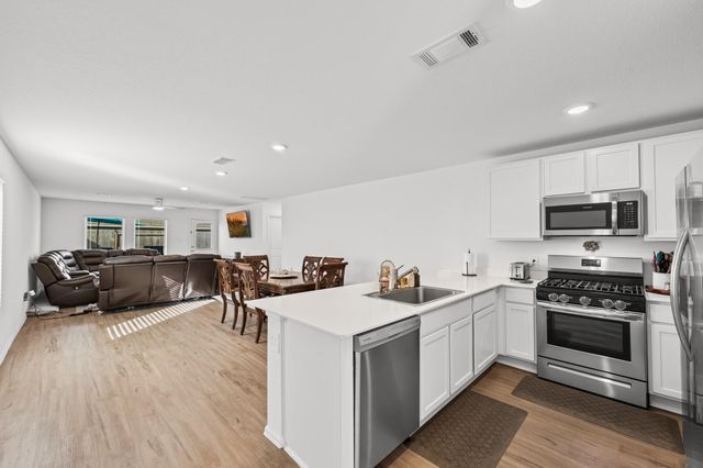 17238 Black Ash Court, New Caney, TX 77357