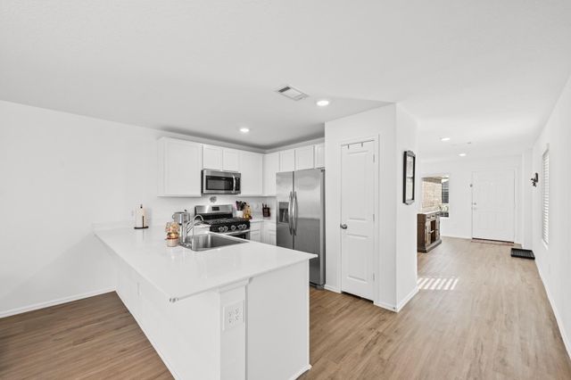 17238 Black Ash Court, New Caney, TX 77357