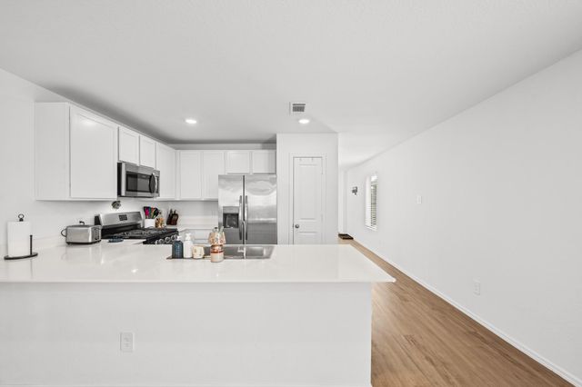 17238 Black Ash Court, New Caney, TX 77357