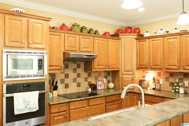1001 BARRINGTON DRIVE, Eastaboga, AL 36260