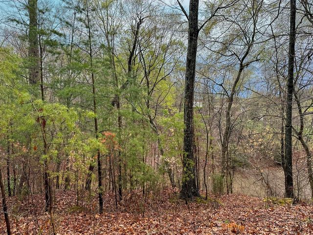 0 David Swann Drive, Dandridge, TN 37725