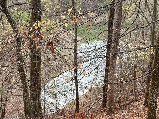 0 David Swann Drive, Dandridge, TN 37725