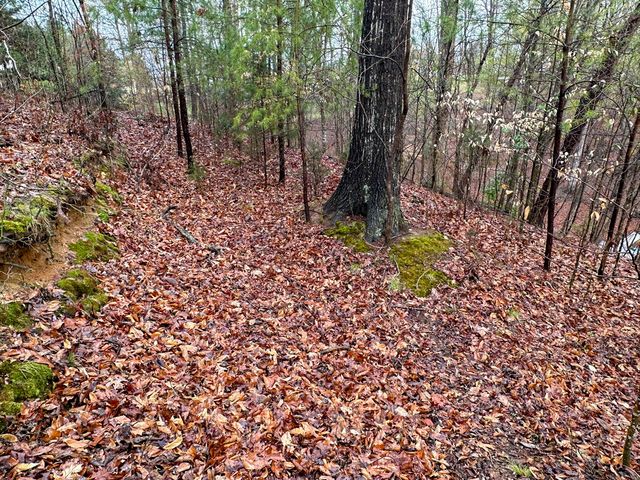 0 David Swann Drive, Dandridge, TN 37725