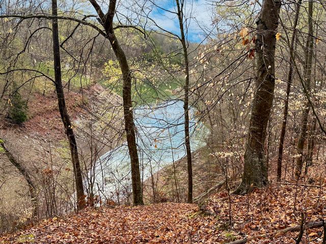 0 David Swann Drive, Dandridge, TN 37725