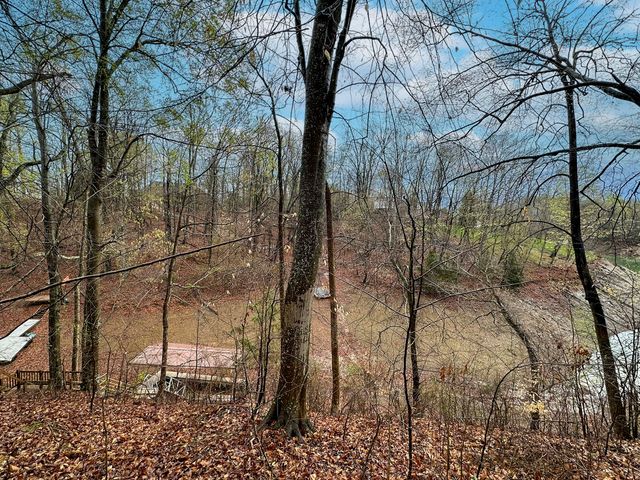 0 David Swann Drive, Dandridge, TN 37725