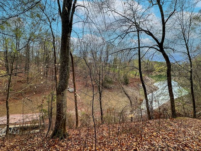 0 David Swann Drive, Dandridge, TN 37725