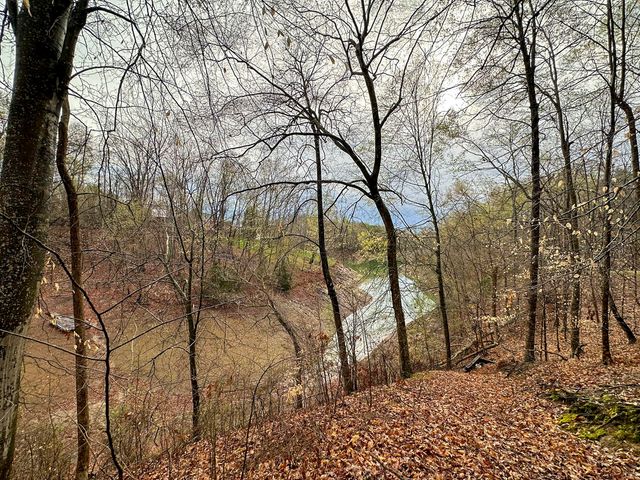 0 David Swann Drive, Dandridge, TN 37725