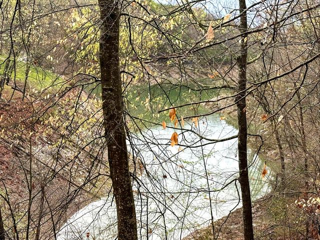 0 David Swann Drive, Dandridge, TN 37725