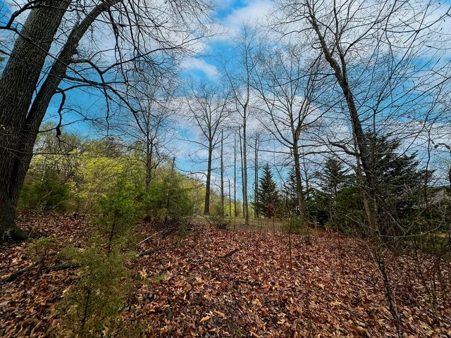 0 David Swann Drive, Dandridge, TN 37725